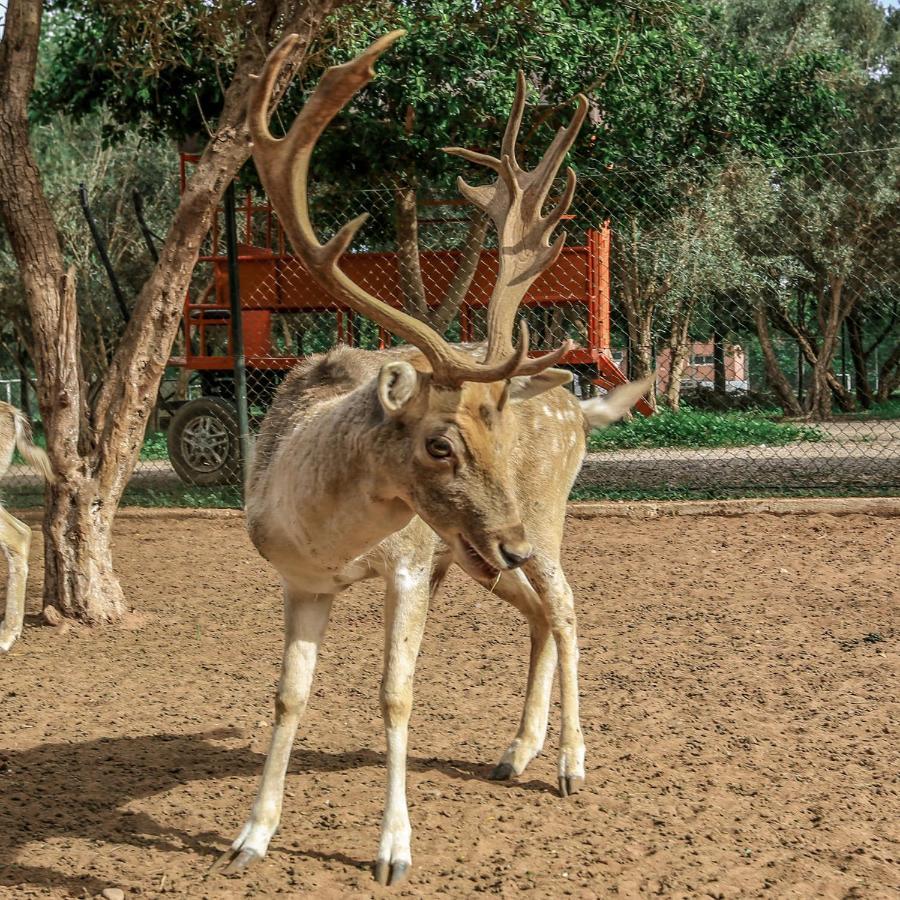 Le Domaine Limoune Oulad Teïma Eksteriør billede