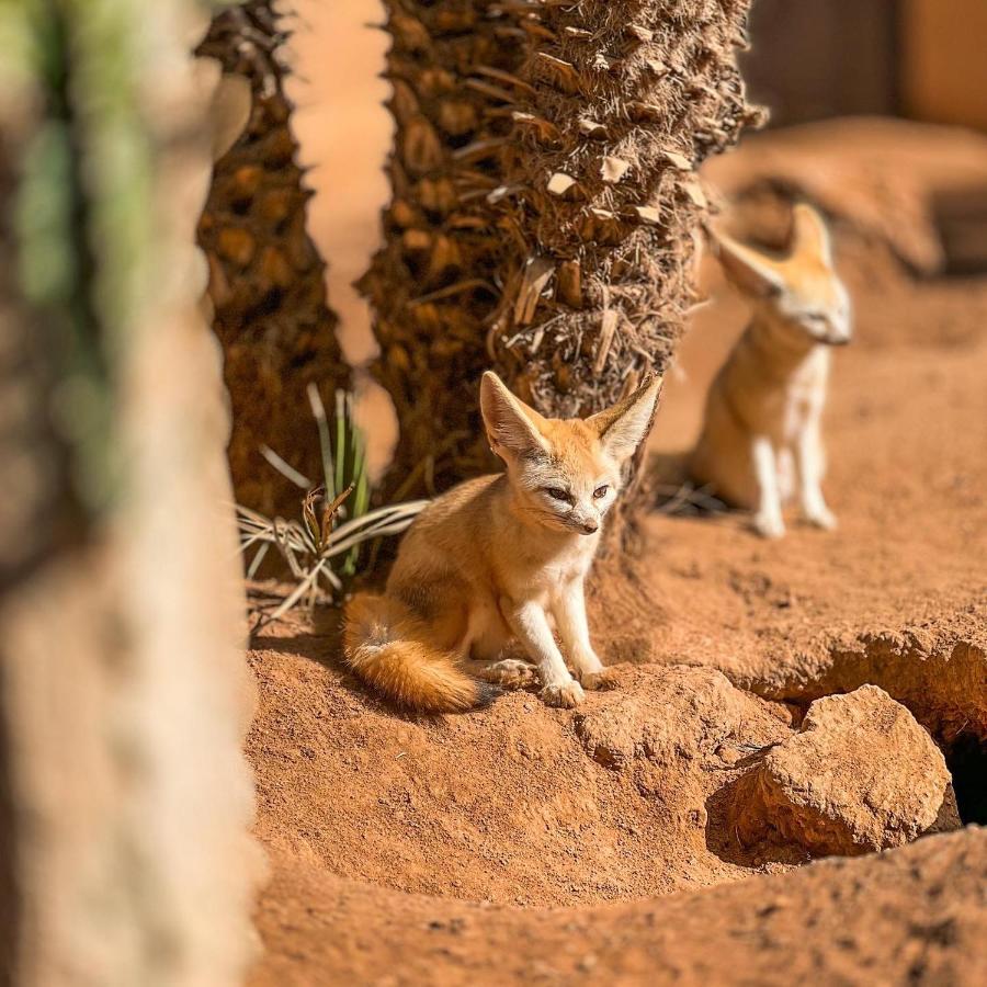 Le Domaine Limoune Oulad Teïma Eksteriør billede