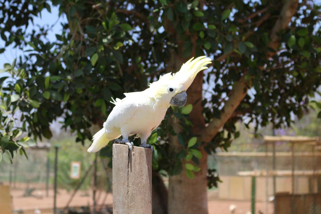 Le Domaine Limoune Oulad Teïma Eksteriør billede