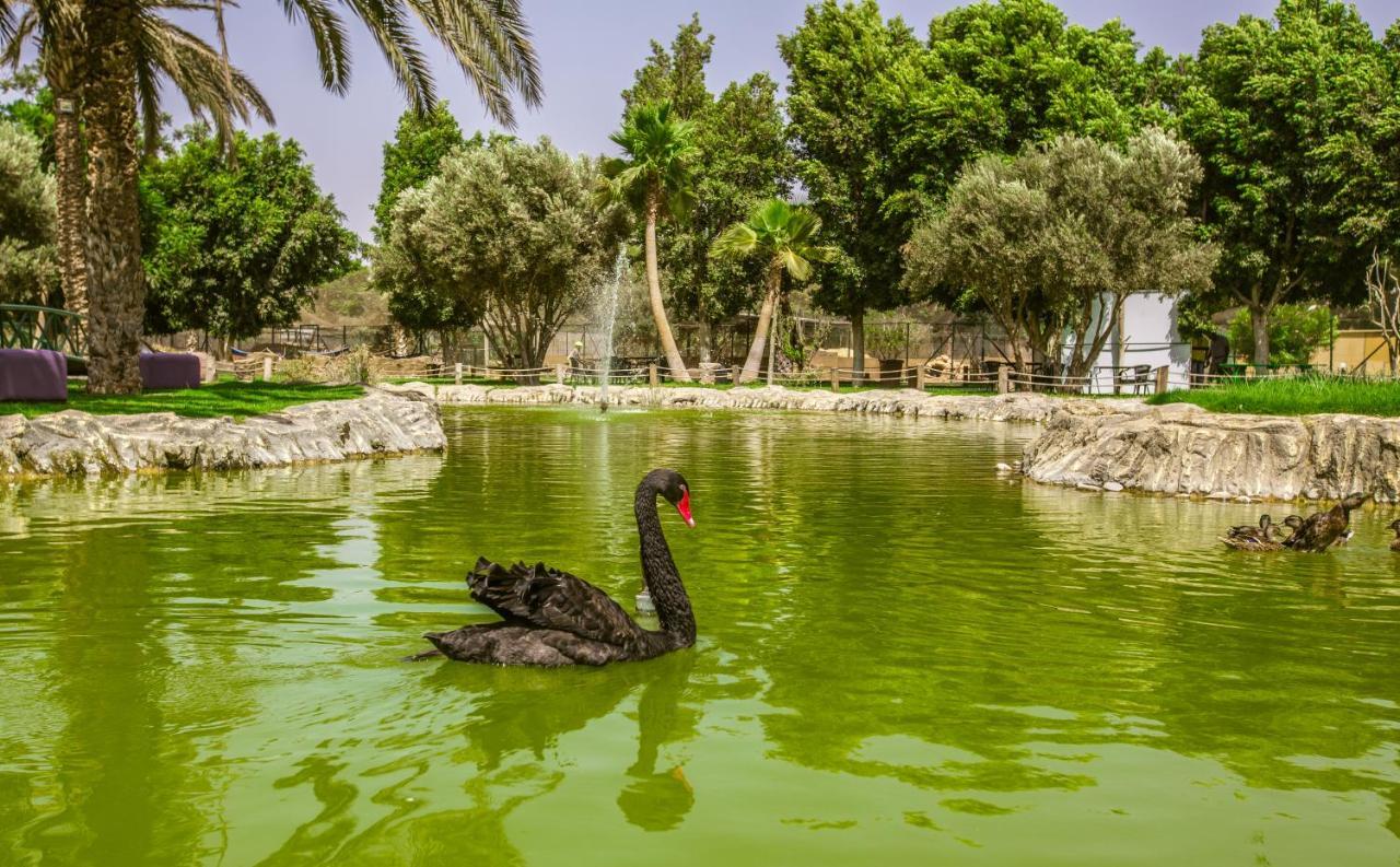 Le Domaine Limoune Oulad Teïma Eksteriør billede